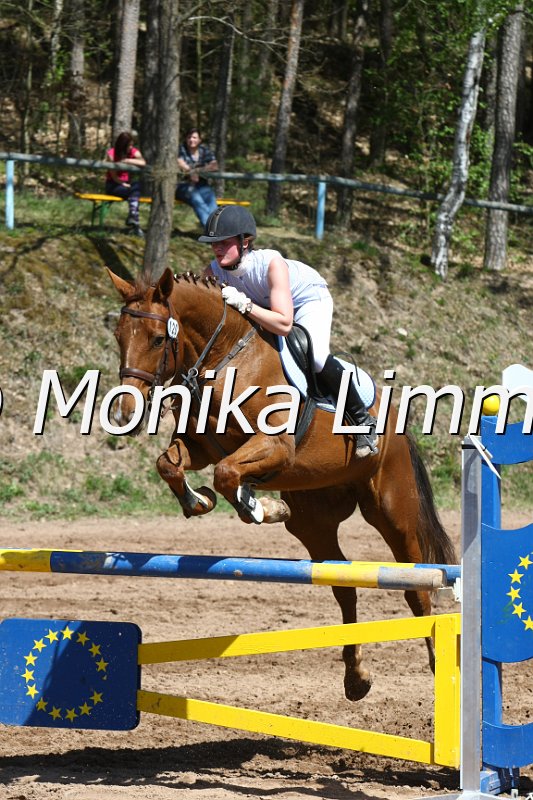 204M8587_Gaya Olymica_Spring_Axx.JPG